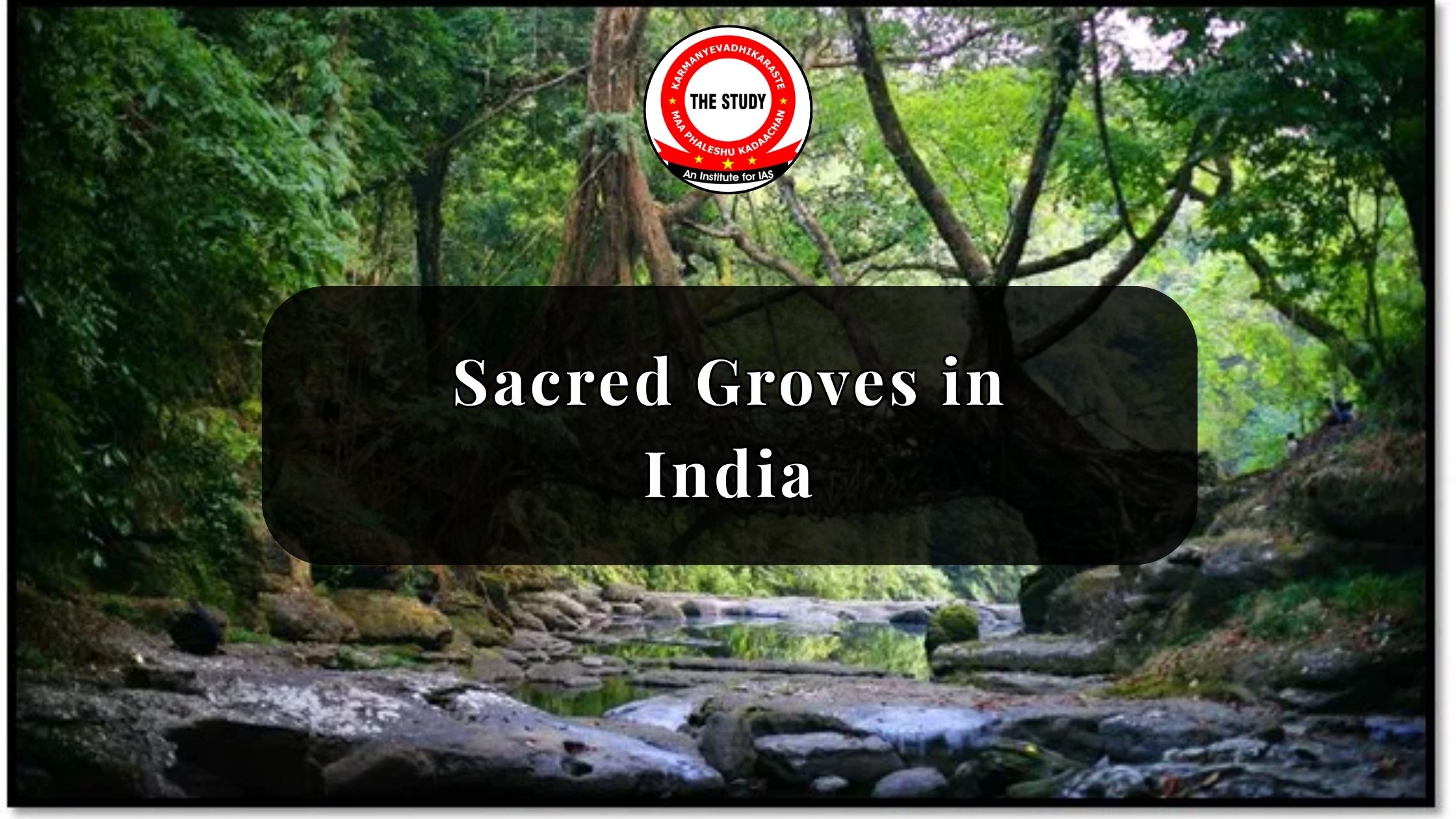 Sacred Groves in India