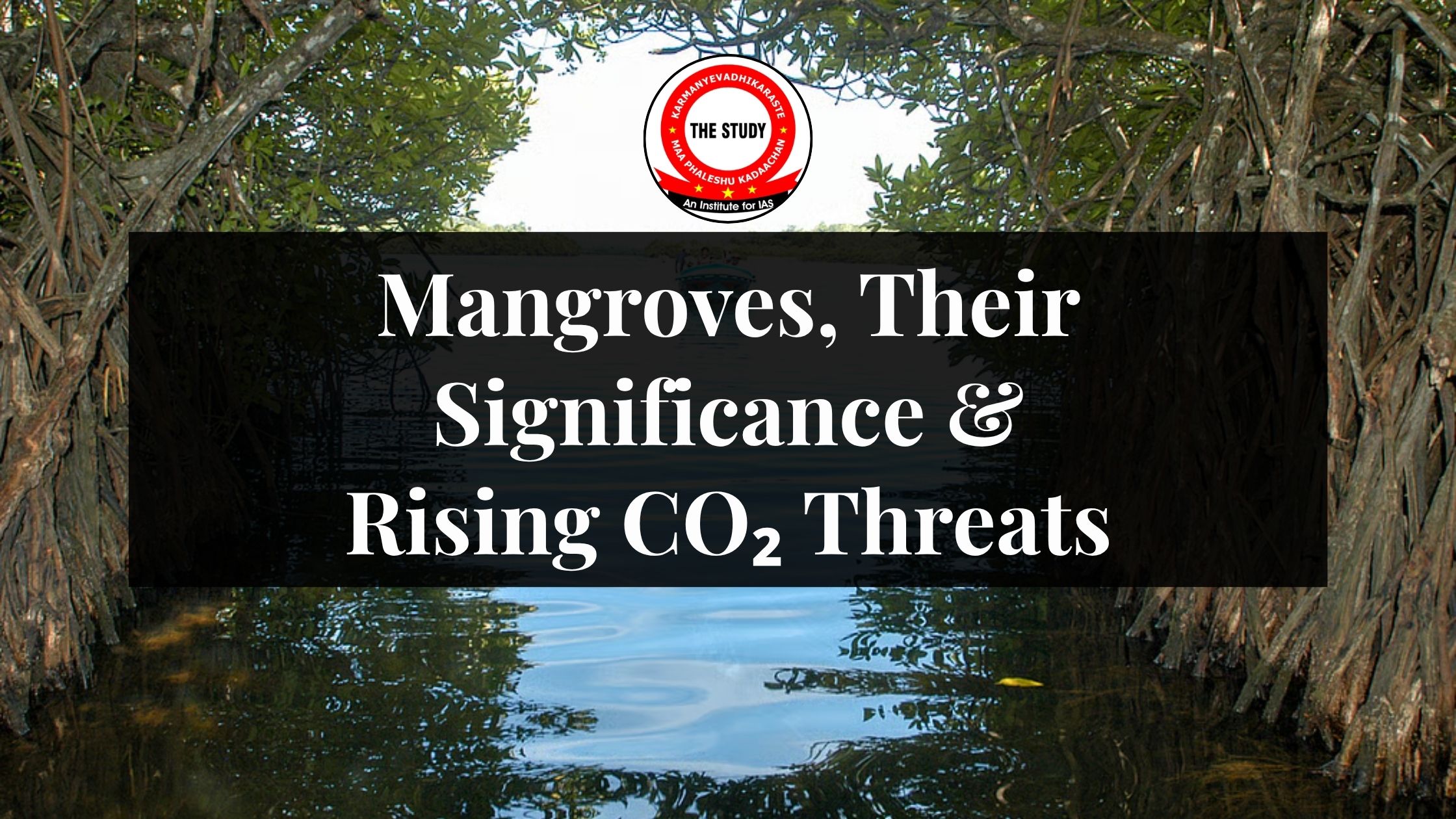 Mangroves, Their Significance & Rising CO₂ Threats