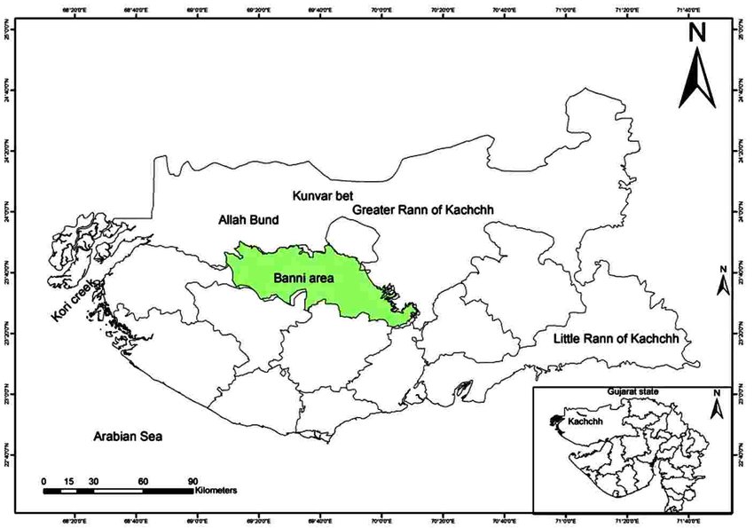 Banni Grasslands