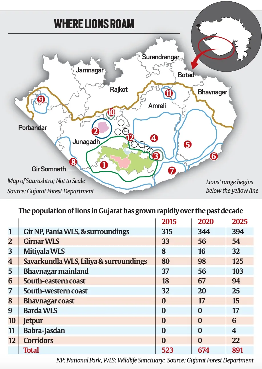 Asiatic Lion Population (2024)