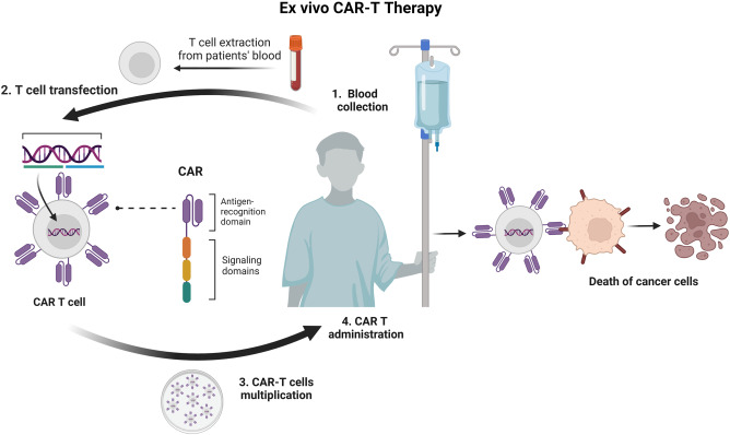 CAR T-Cell Therapy