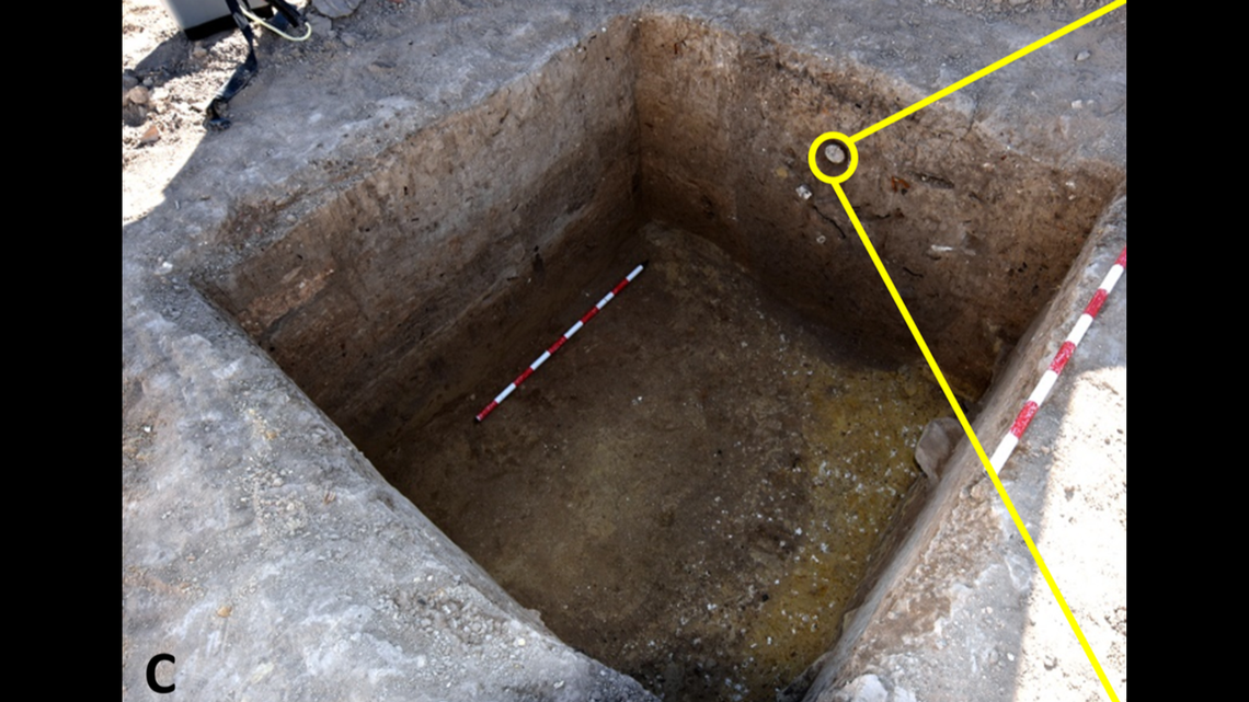 A Sperm-Whale Tooth Unearthed in Copper-Age Spain