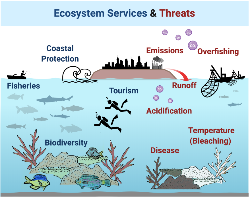 Coral Reef Decline in Lakshadweep