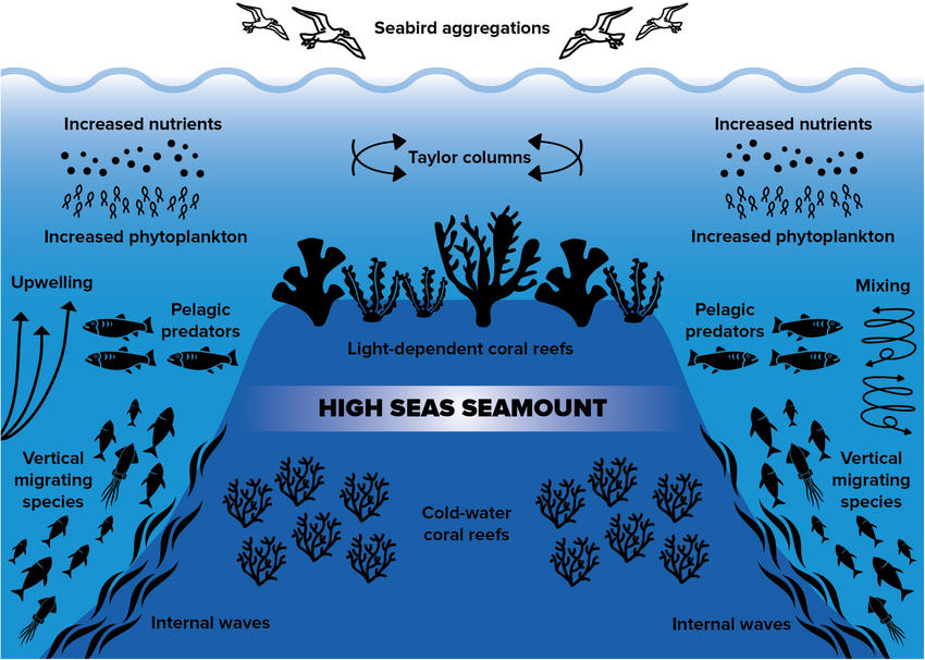 Coral Reef Decline in Lakshadweep