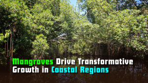 Mangroves Drive Transformative Growth in Coastal Regions