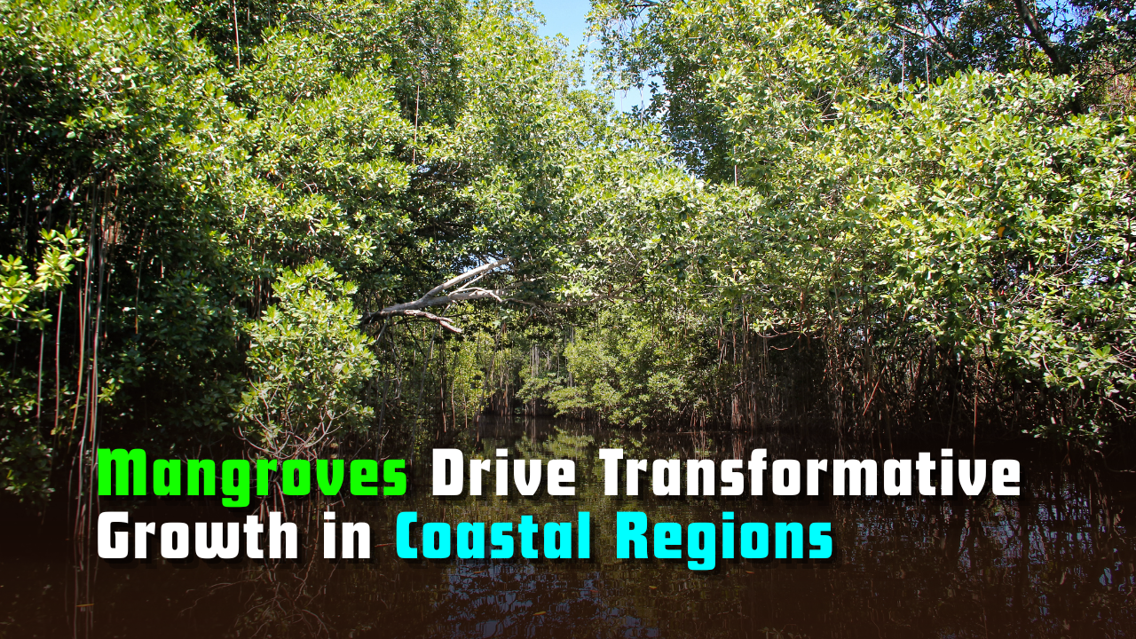 Mangroves Drive Transformative Growth in Coastal Regions