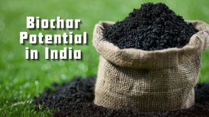 Biochar Potential in India