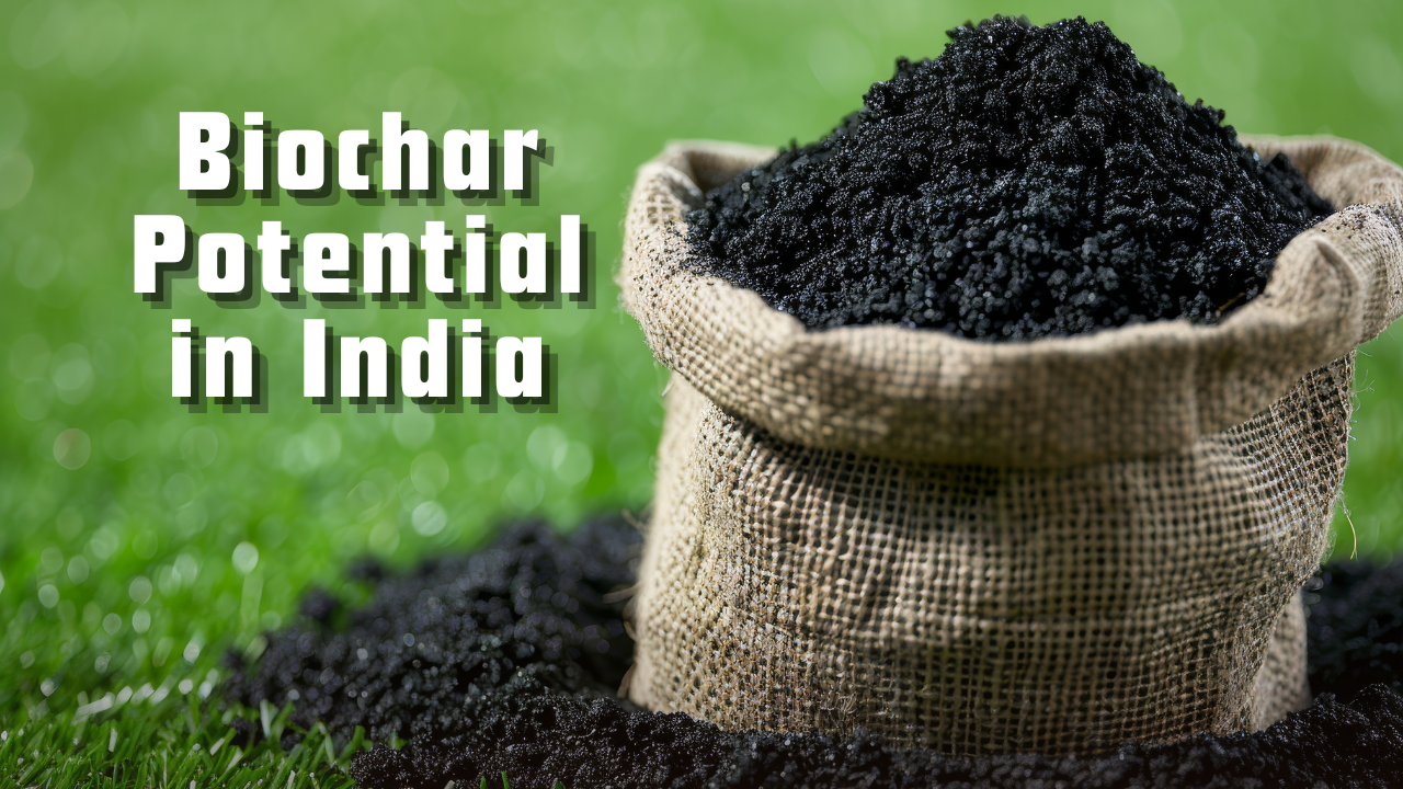 Biochar Potential in India