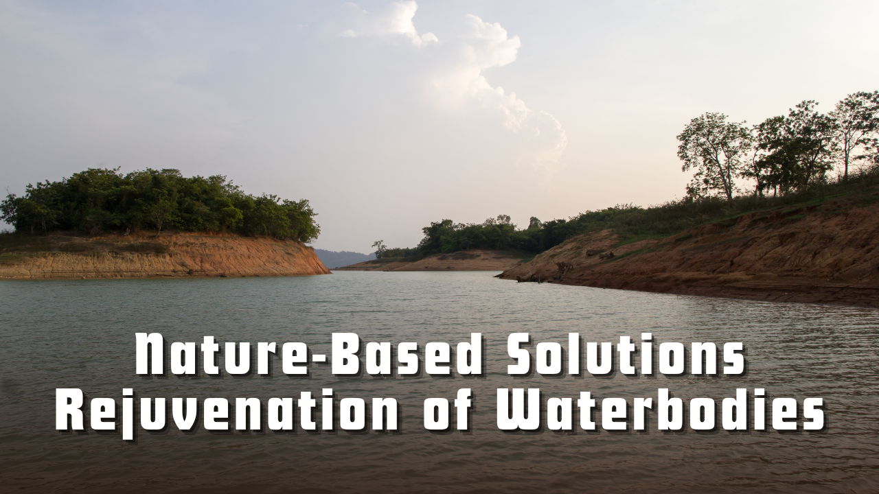 Nature-Based Solutions and Rejuvenation of Waterbodies