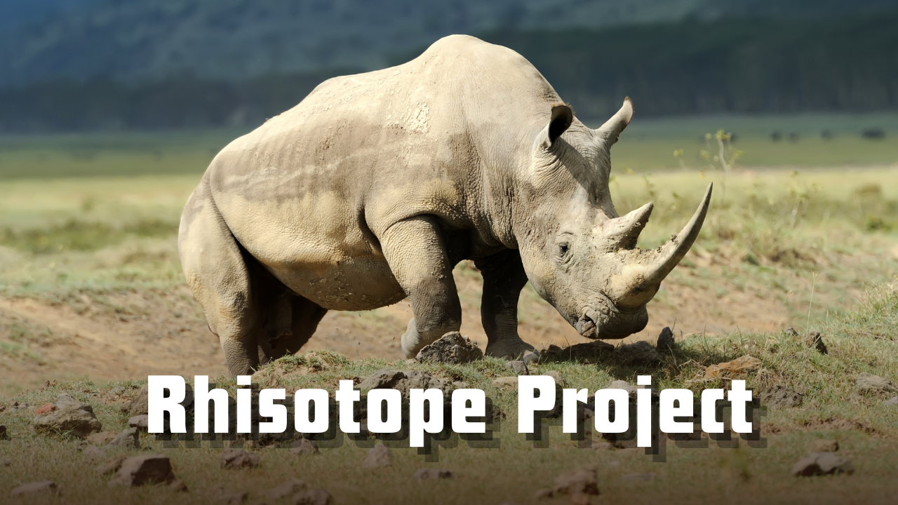 Rhisotope Project