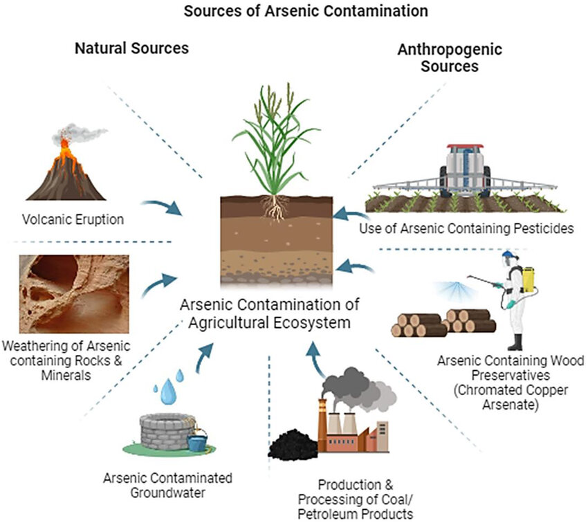 Arsenic Contamination in India’s Drinking Water
