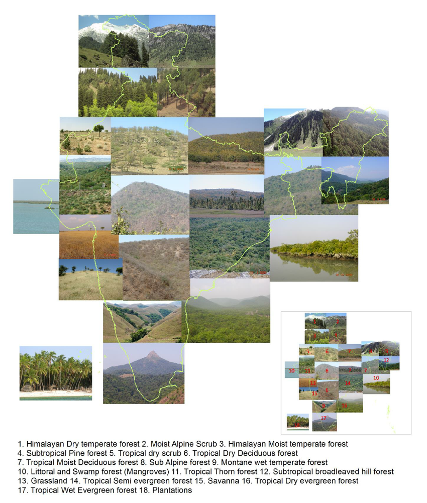 Recognition of Forests in India