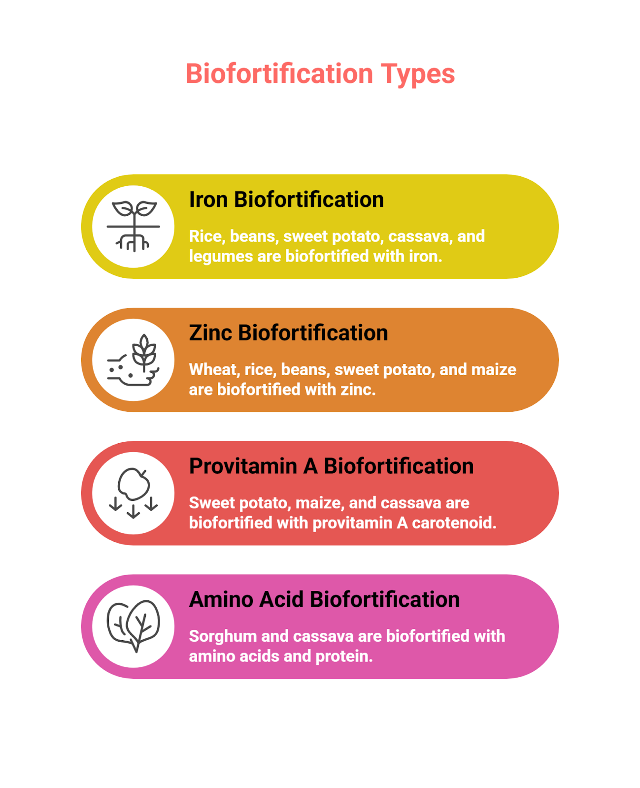 Bio-Fortified Potatoes