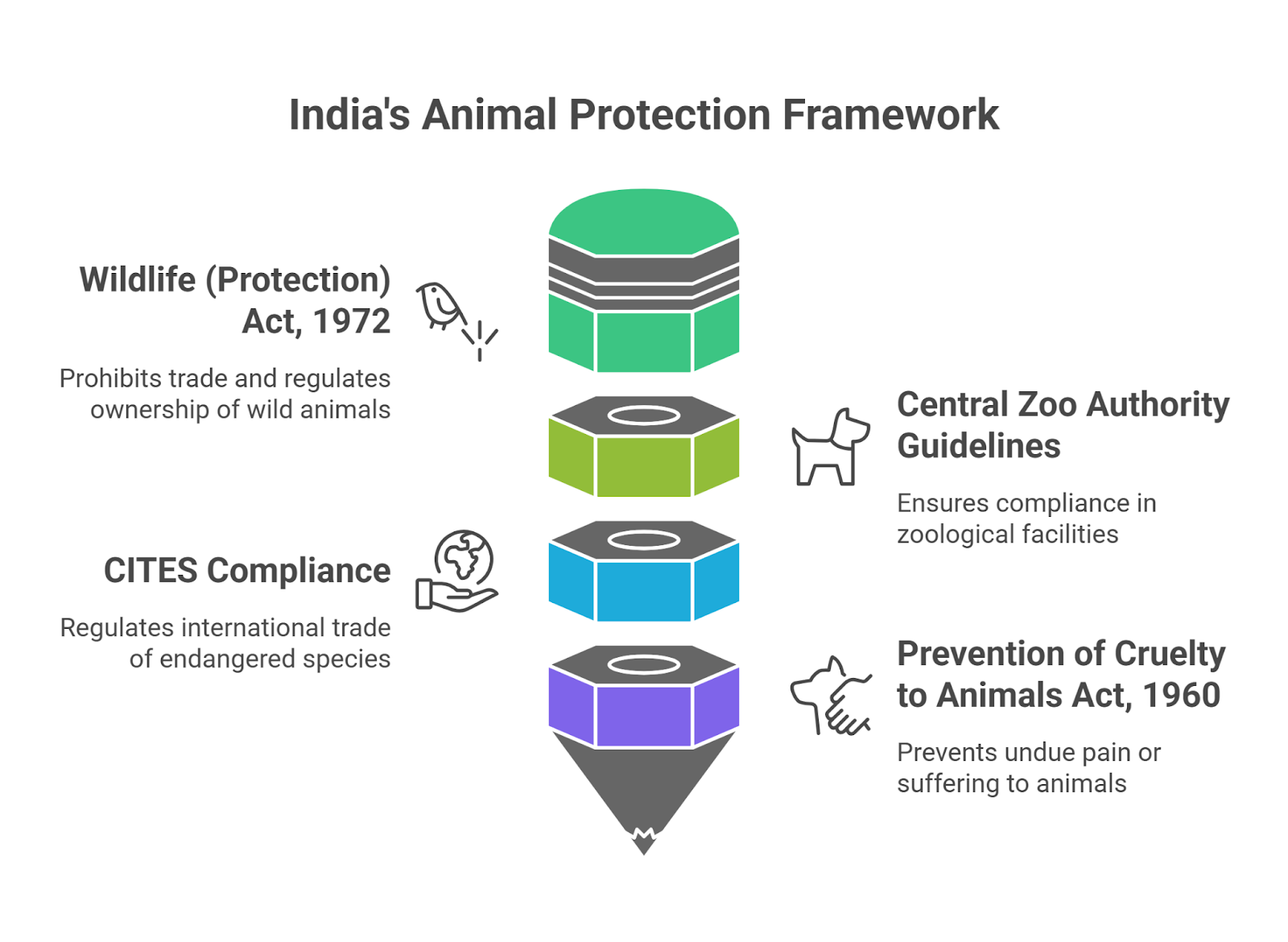 Concerns Over Vantara Zoological Rescue and Rehabilitation Centre