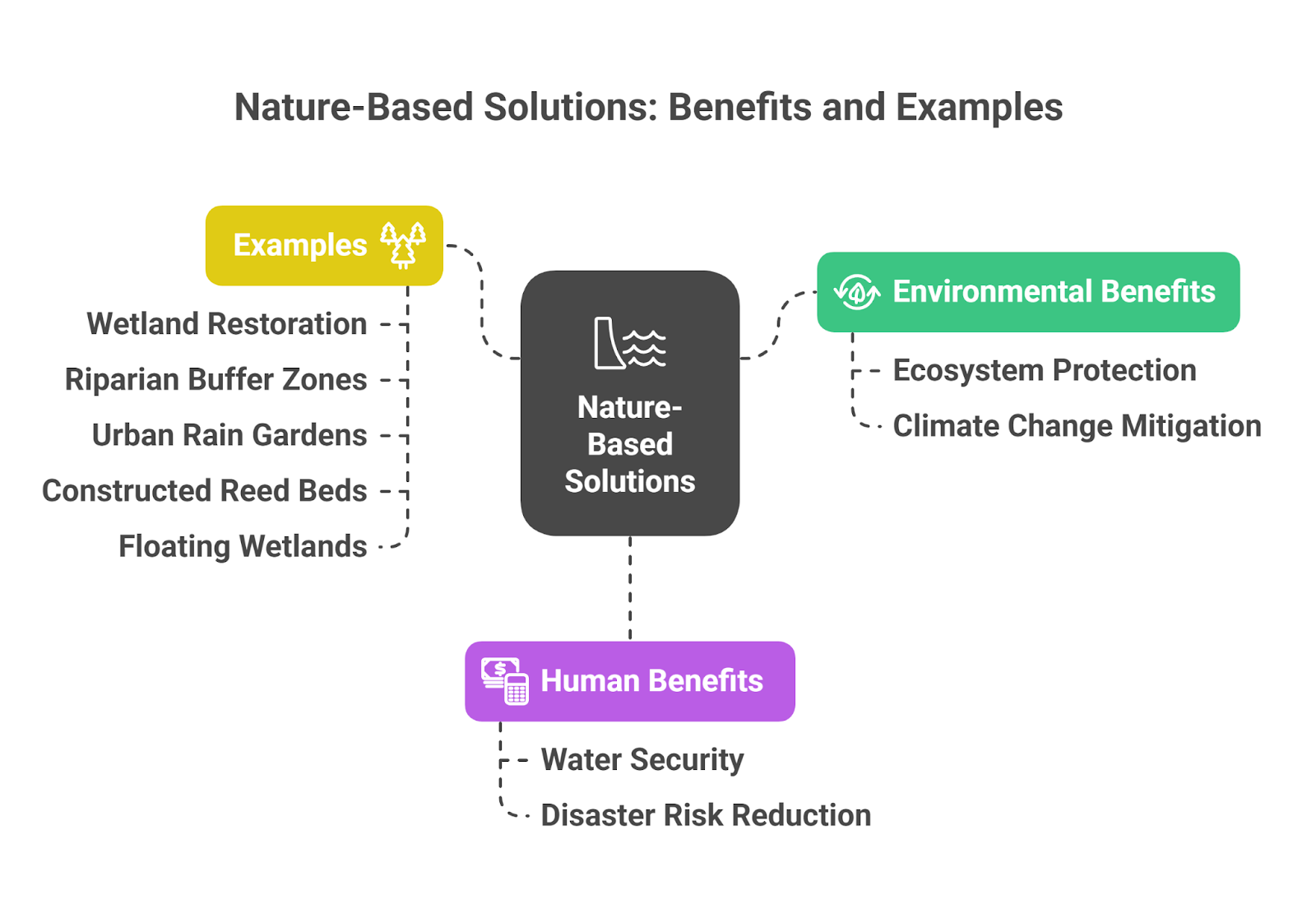 Nature-Based Solutions and Rejuvenation of Waterbodies