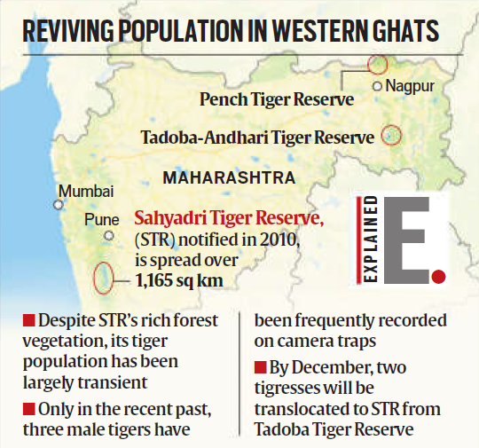 Translocation of Tigers