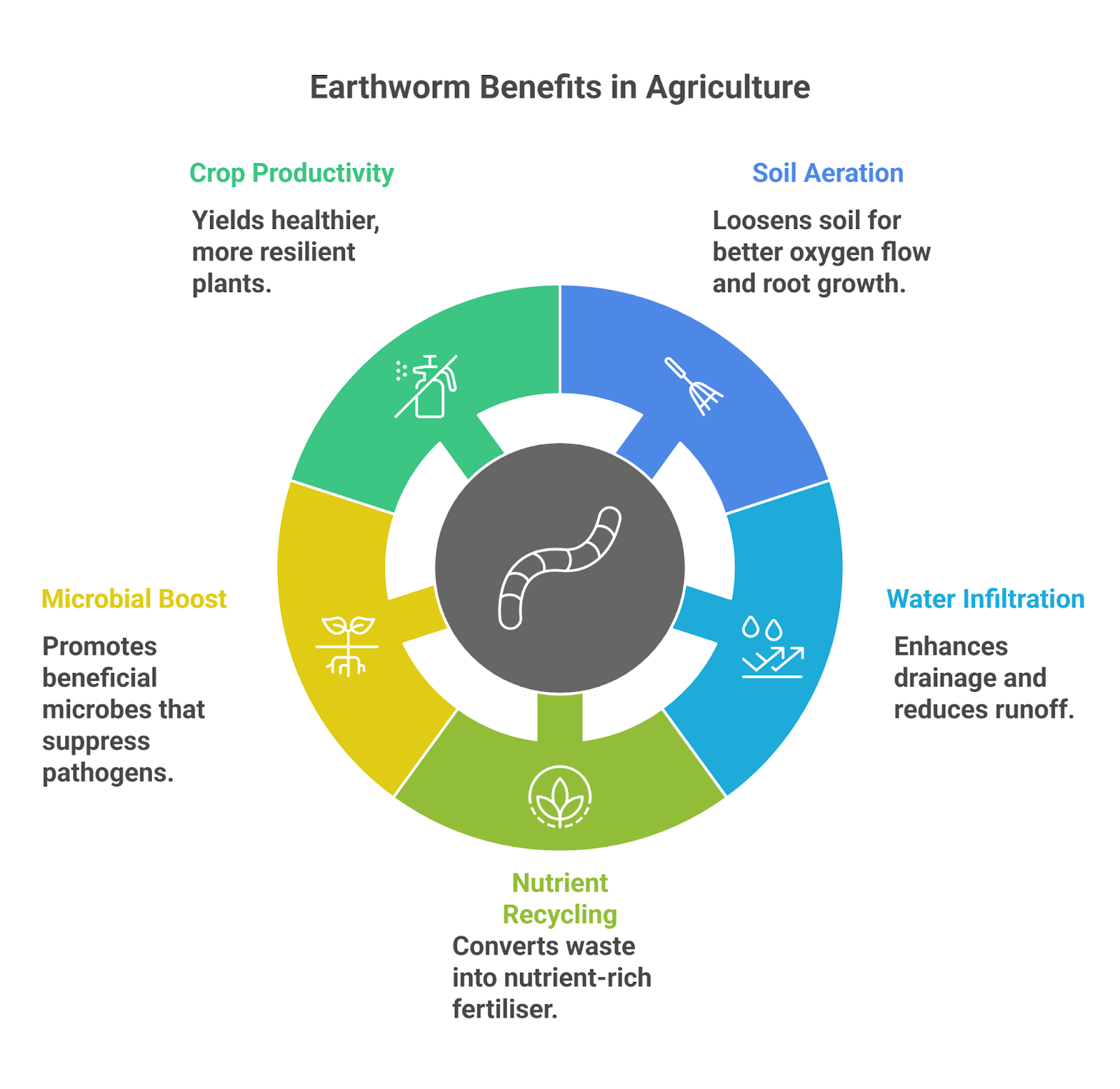Earthworms and Regenerative Vineyards