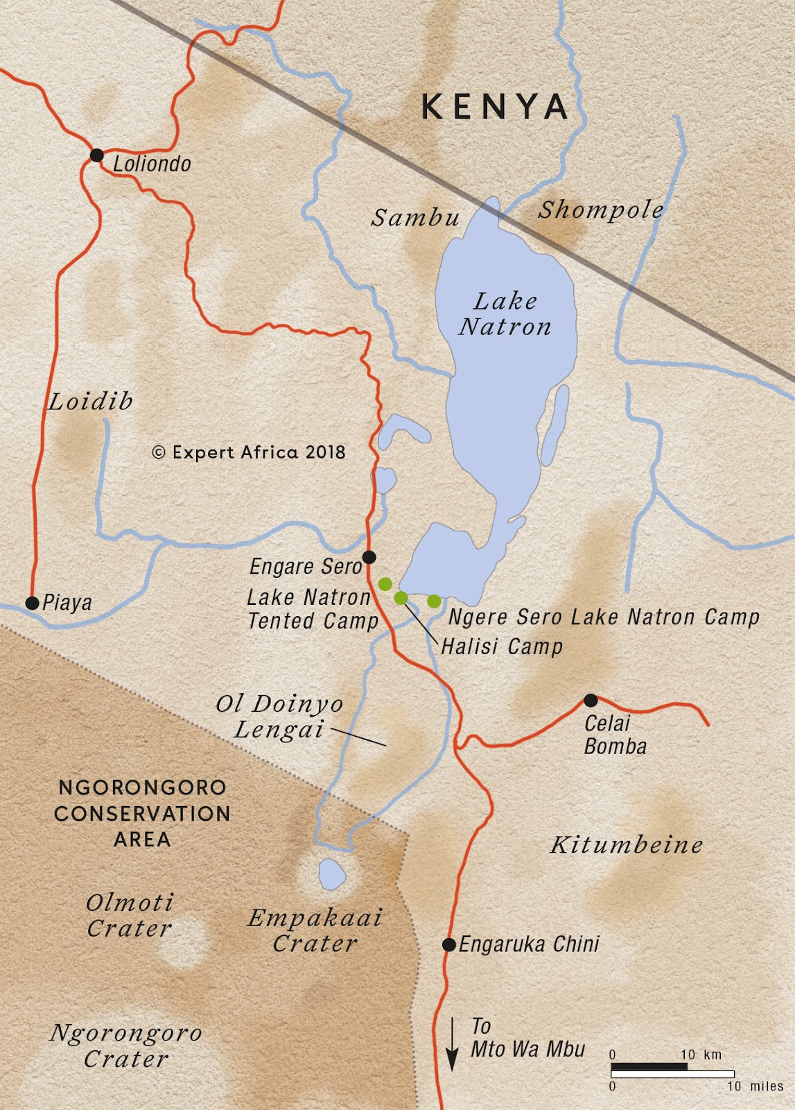 Lesser Flamingos in Lake Natron
