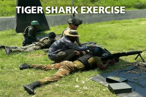 Tiger Shark Exercise