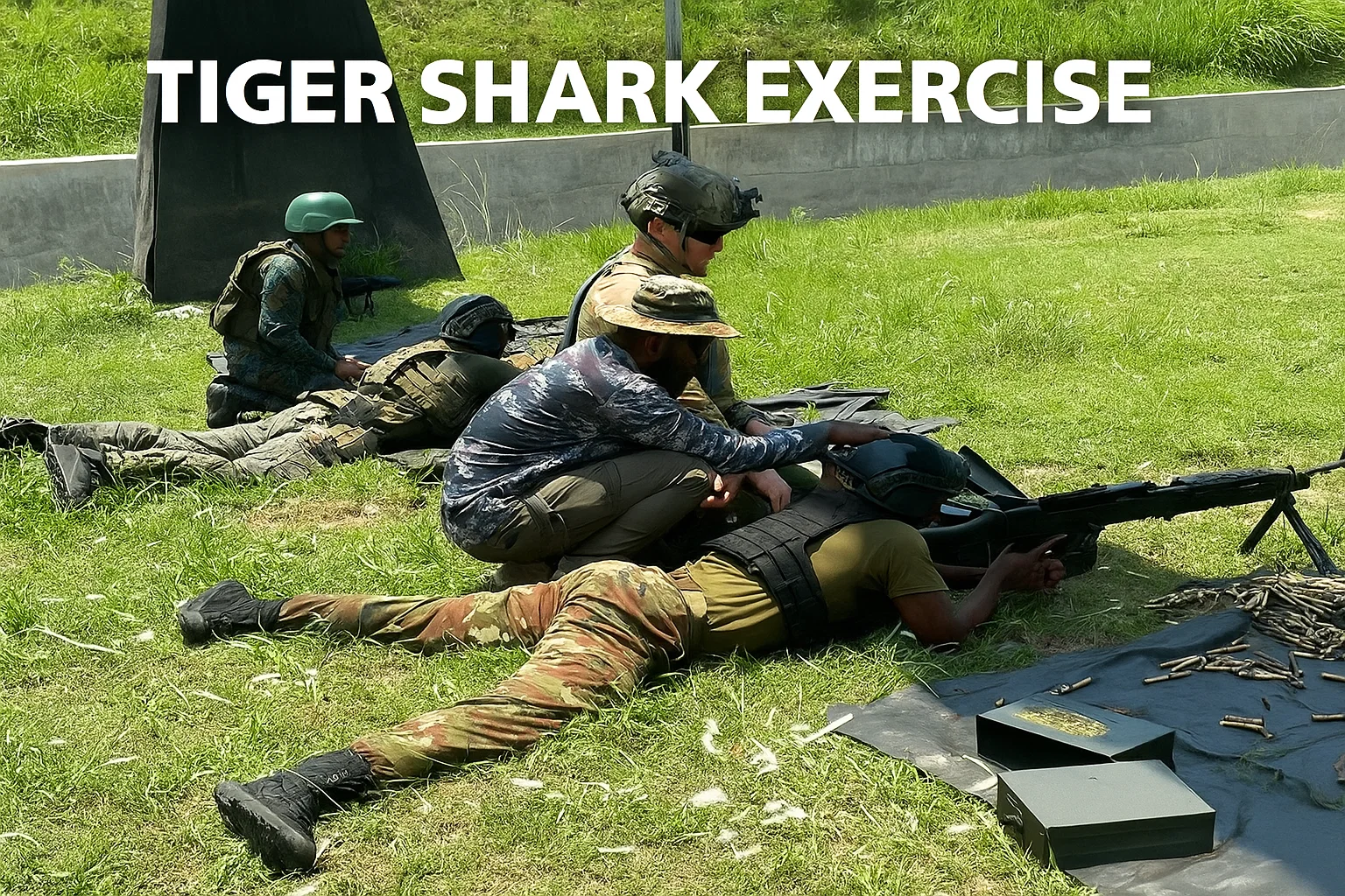 Tiger Shark Exercise